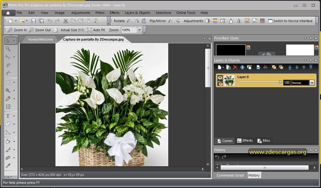 Photo POS Pro Full Español Photo POS Pro Full Español