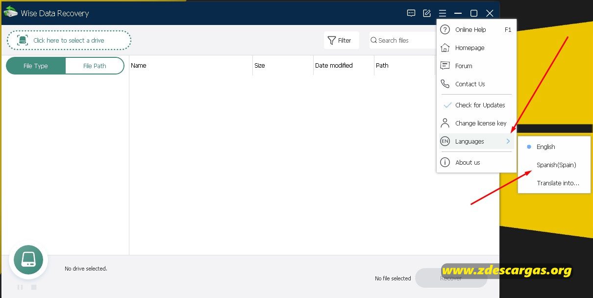 Wise Data Recovery Pro Full Español