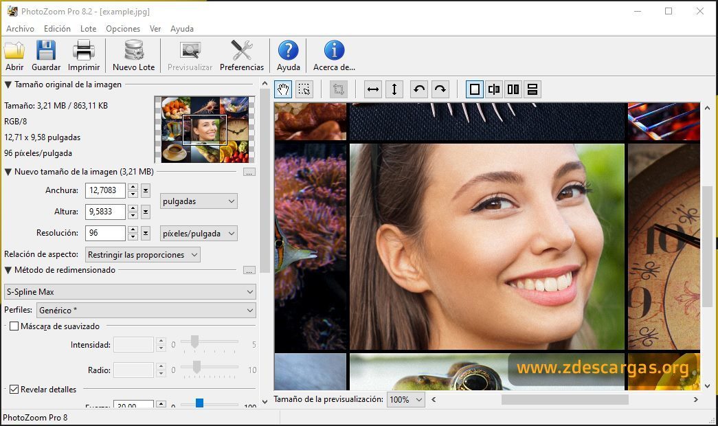 Benvista PhotoZoom Pro Full 2023 Benvista PhotoZoom Pro Full 2023