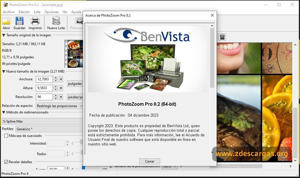 Benvista PhotoZoom Pro Full 2023 Benvista PhotoZoom Pro Full 2023