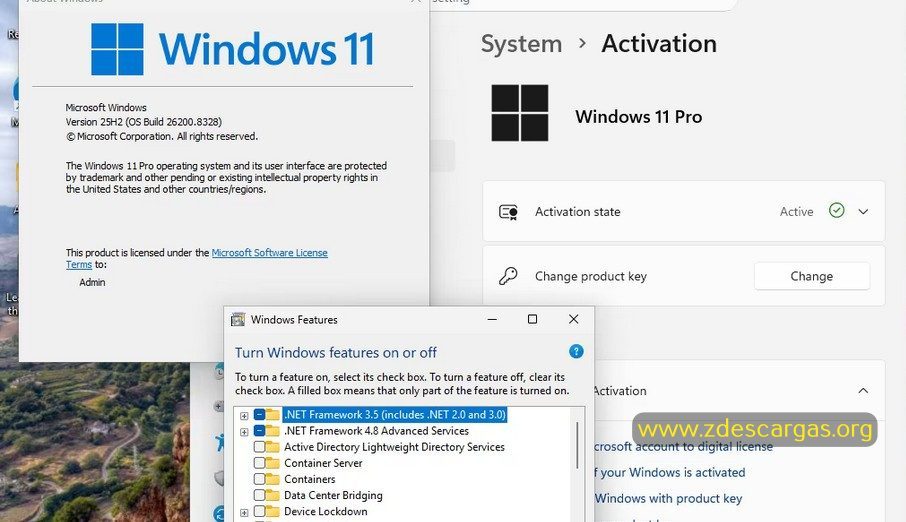 Windows 11 Pro + Microsoft Office 2024 Pro Plus Full