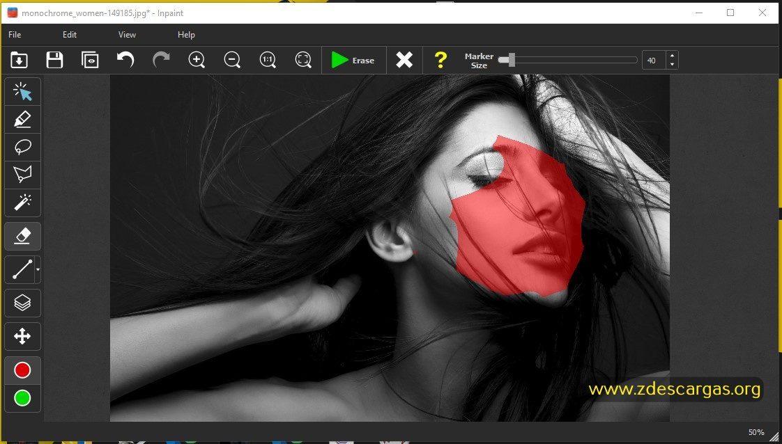 Teorex Inpaint Full Español