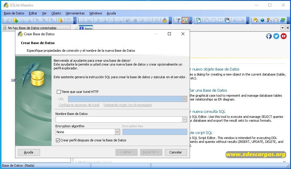 SQLite Maestro 2021 Full Español SQLite Maestro 2021 Full Español