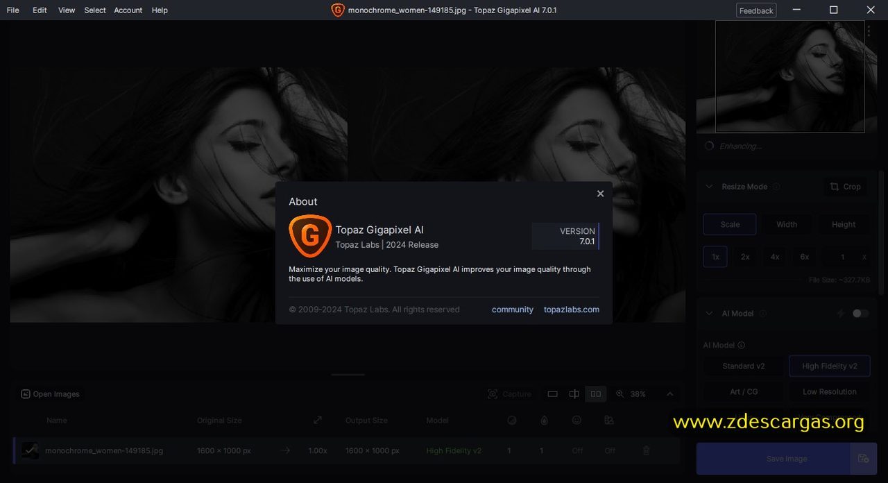 Topaz Gigapixel AI Full Español
